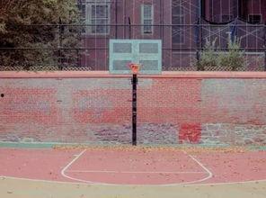 最新爆料篮球场图片高清,高清实拍展现运动新风采